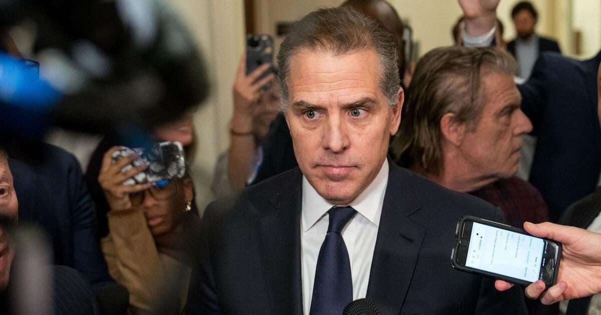 IRS whistleblowers jab at Hunter Biden pardon in lawsuit filing against his lawyer