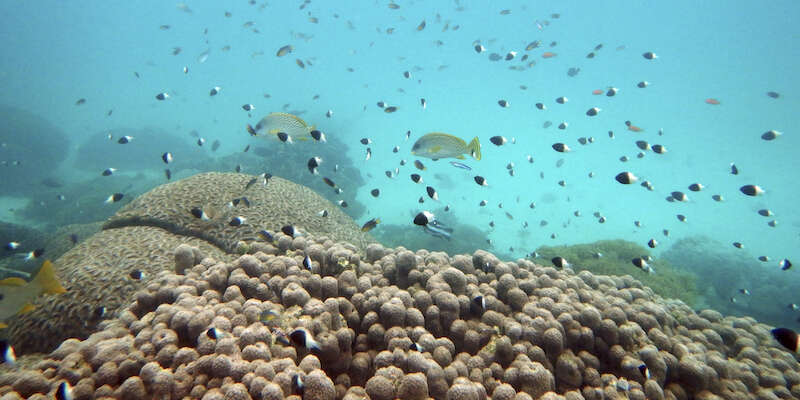 C’è un nuovo trattato internazionale per la protezione degli oceani