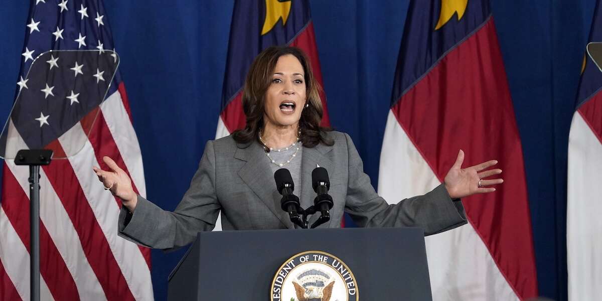 E quindi, Kamala HarrisDopo l'annuncio del suo ritiro, Joe Biden ha detto che sosterrà la sua vice presidente come candidata del Partito Democratico: ma tutto sarà deciso alla convention di Chicago