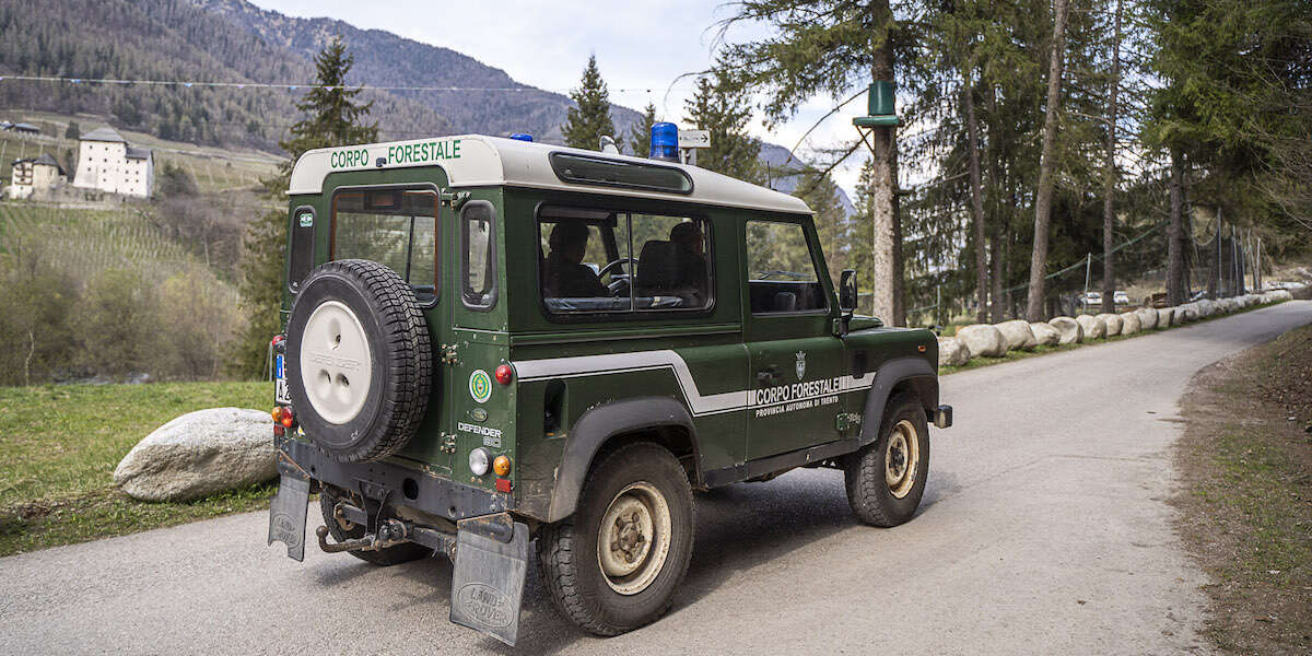 Il TAR di Trento ha sospeso l’ordinanza di abbattimento dell’orsa che aveva ferito un turista francese a Dro