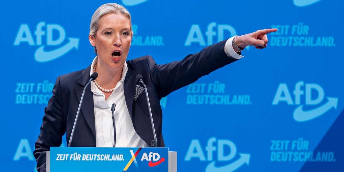 La corrente più radicale dentro AfD è sempre più influenteNella proposta della leader del partito tedesco di estrema destra sono stati inclusi il concetto di “remigrazione” e la proposta di abbattere le pale eoliche