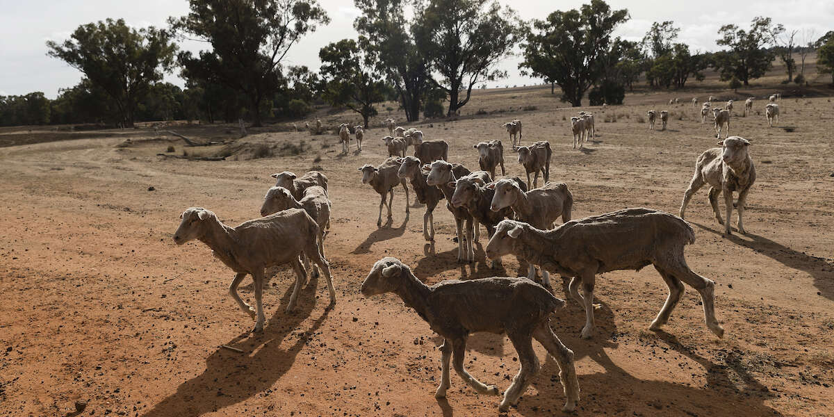 Non sappiamo quali saranno gli effetti del nuovo El Niño sull’Europa