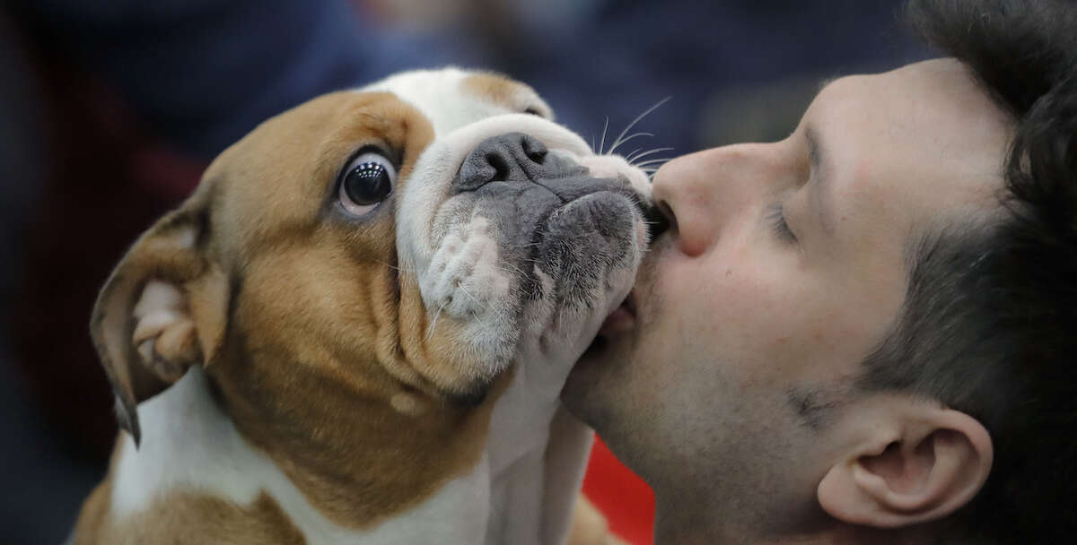 Baciare gli animali domestici è rischioso?