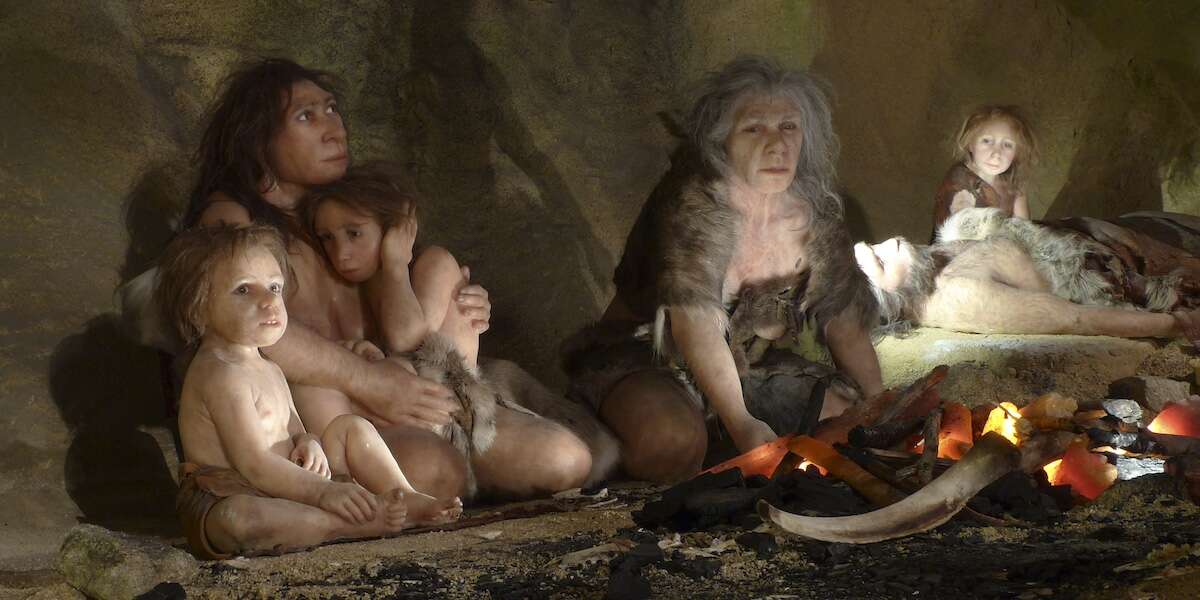 Cosa ci può dire il cranio di un Neanderthal con disabilità vissuto fino a sei anniRafforza le teorie secondo cui erano specie capace di altruismo, compassione e accudimento disinteressato, contrariamente a quanto si credeva un tempo