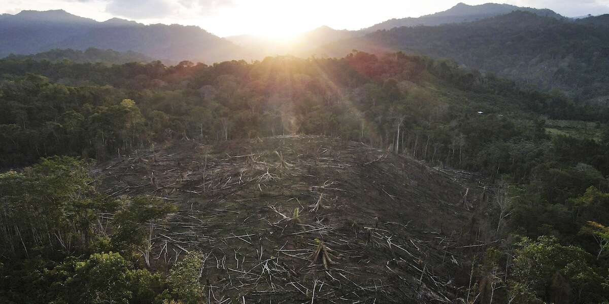 Il sistema dei crediti di carbonio è da rifareÈ in crisi dopo che diverse indagini scientifiche e giornalistiche hanno rivelato quanto sia inaffidabile, ma non vuol dire che si debba buttare tutto