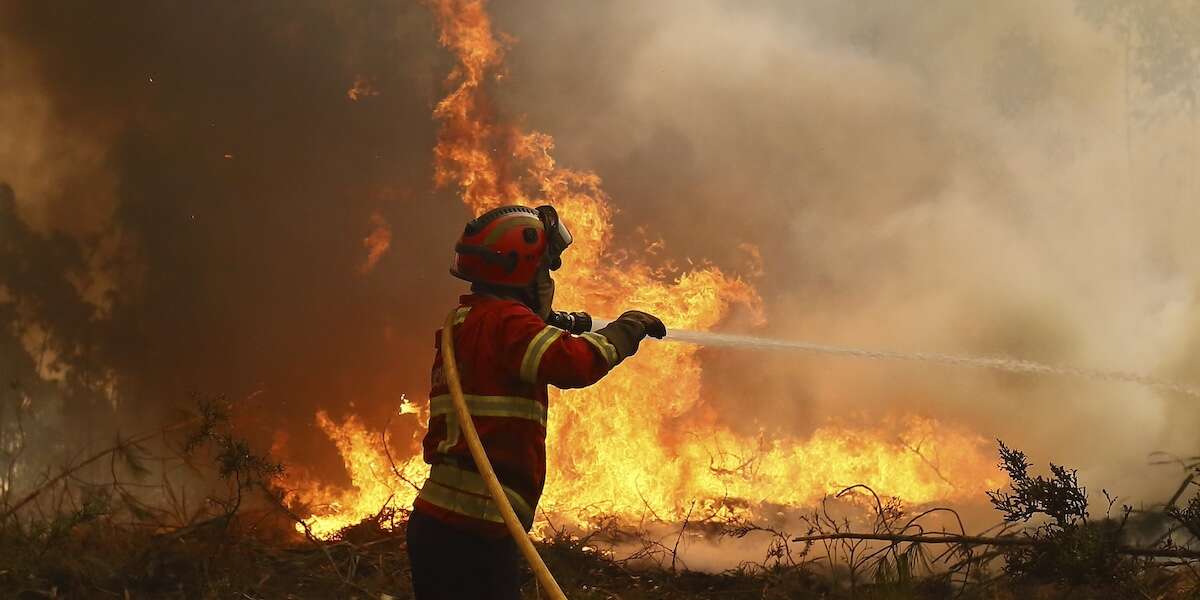 In Portogallo la polizia ha arrestato 14 persone sospettate di aver appiccato alcuni dei vasti incendi in corso nel paese