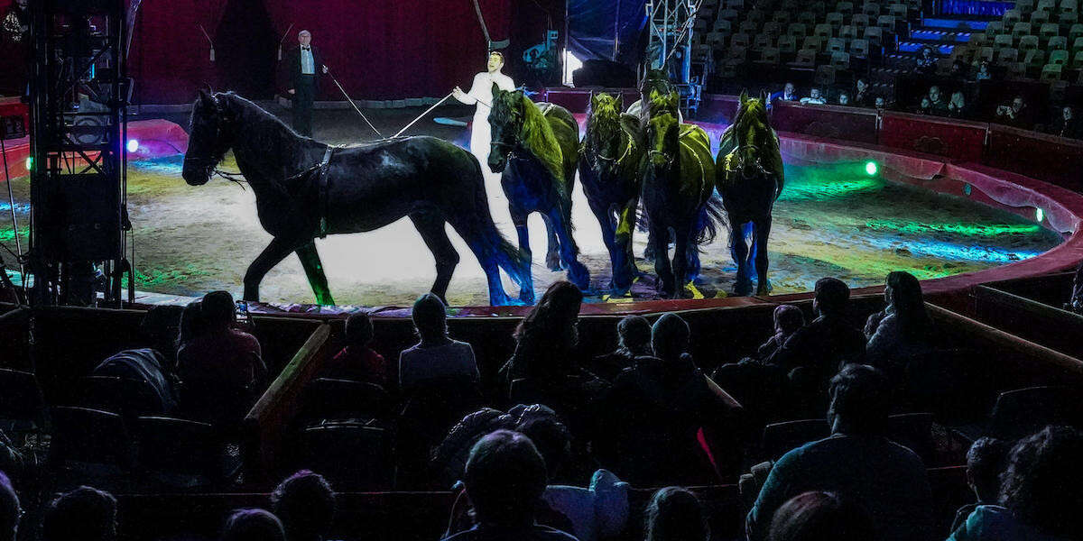 A Torino un grosso circo è stato sequestrato, e il suo gestore accusato di sfruttamento del lavoro