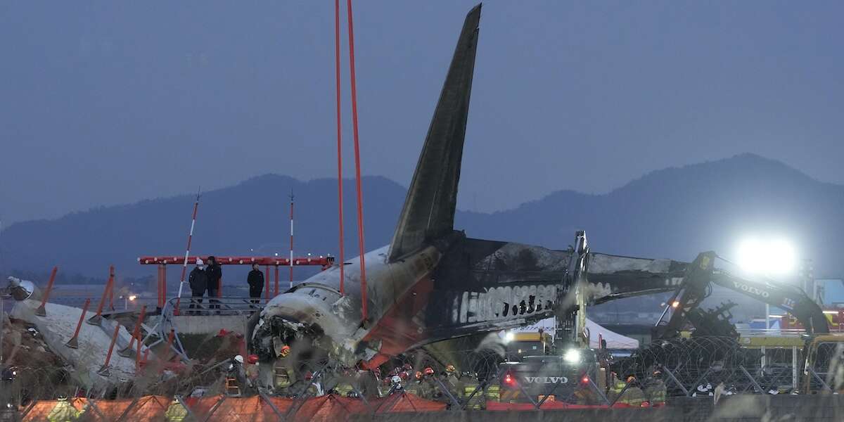 Le indagini sullo schianto dell’aereo in Corea del SudLe cause non sono ancora chiare ma si ipotizza un malfunzionamento dei dispositivi d'atterraggio o un bird strike, ossia una collisione con uccelli