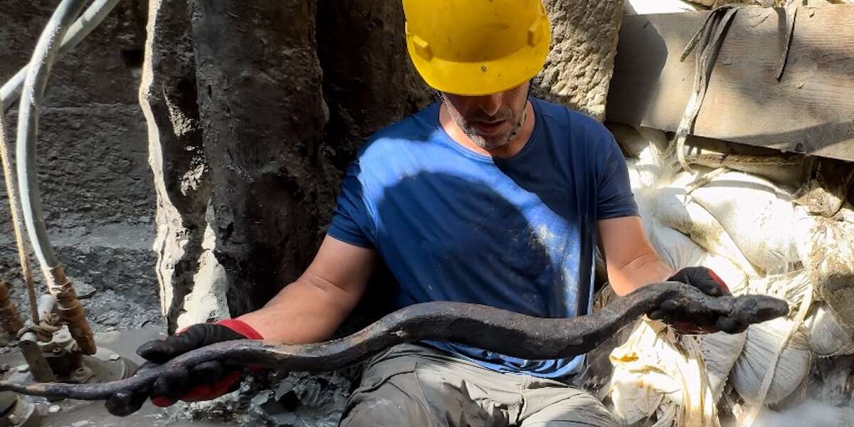 Le foto degli ultimi notevoli reperti archeologici di San Casciano dei BagniSerpenti e statue in bronzo di epoca etrusca e romana, gioielli d'oro, migliaia di monete e persino uova integre