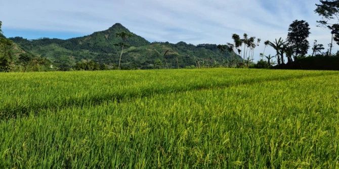 Guru Besar IPB Apresiasi Terpilihnya Indonesia Jadi Anggota Dewan FAO