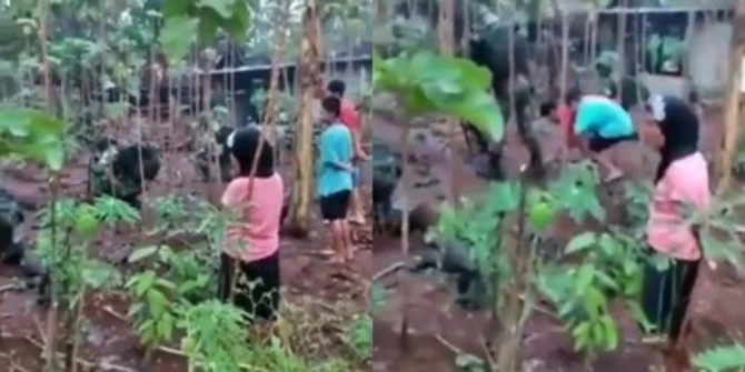Momen Tak Biasa Warga 'Mandori' TNI Latihan Perang, Usai Nembak Berebut Selongsong