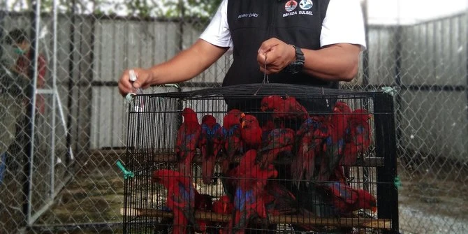 Tim Gabungan Gagalkan Penyelundupan Ribuan Burung dari Lampung
