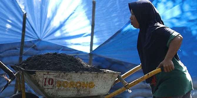 Fungsi Pupuk TSP untuk Tanaman, Pahami Sifat, Keunggulan dan Cara Penggunaannya