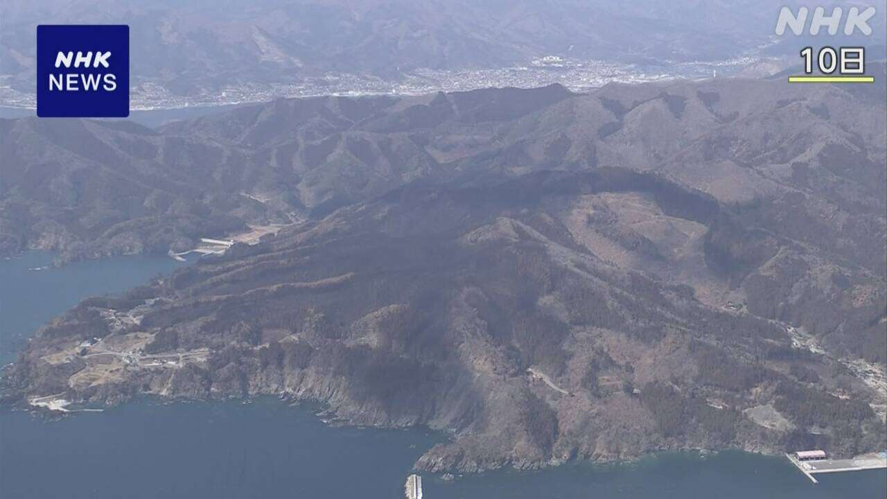 岩手 大船渡 山林火災 消防庁が職員派遣し延焼拡大の原因調査