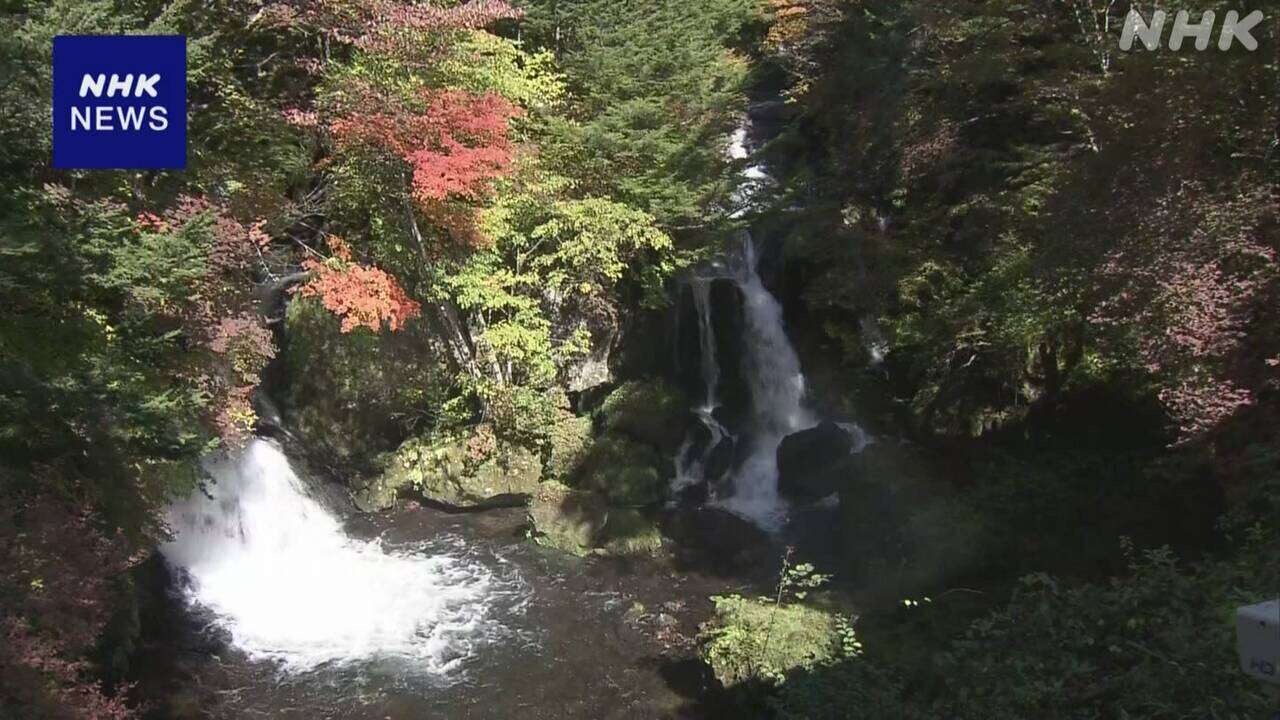 栃木 奥日光 残暑影響で紅葉の時期遅れる 例年より1週間以上