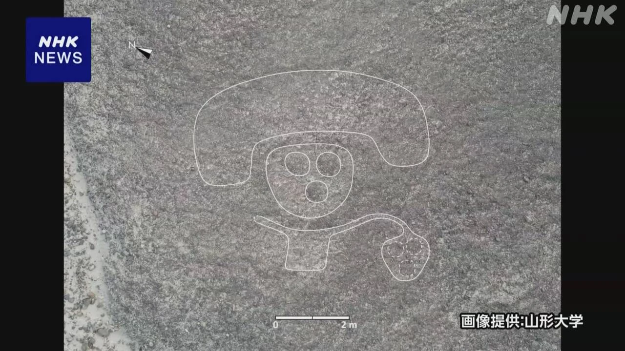 「ナスカの地上絵」新たに248点の地上絵発見 山形大学など