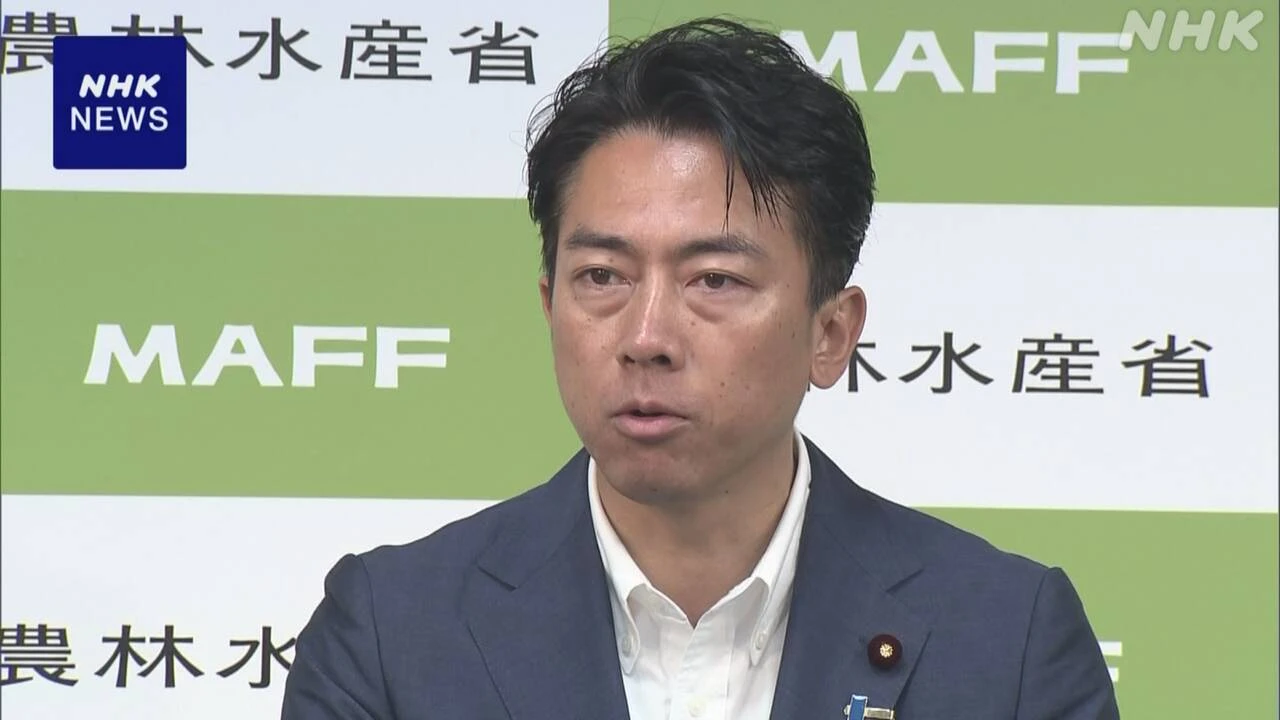小泉農相 コメ増産に向け政策転換図る考え “しっかり道筋を”