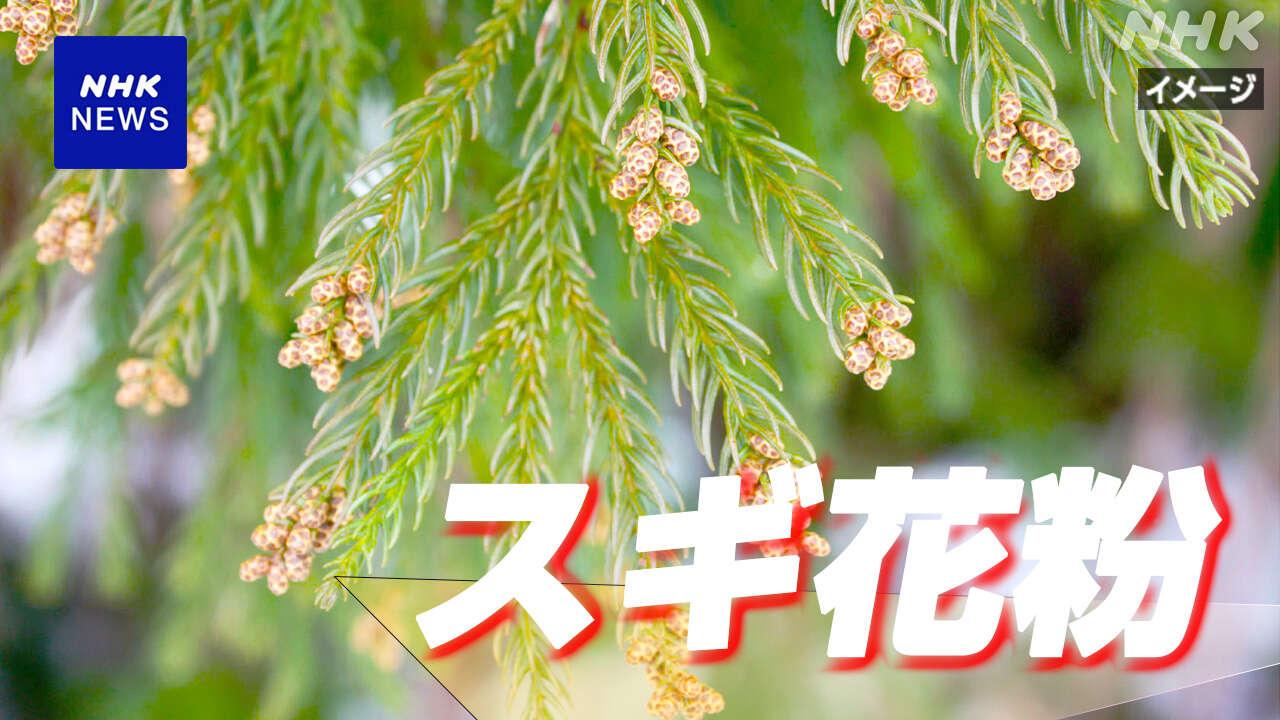 東京都 スギ花粉 統計取り始めて最も早く飛散開始と発表