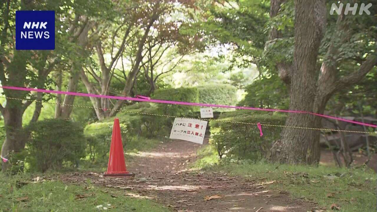 公園で保育園児9人がハチに刺され搬送 北海道 苫小牧