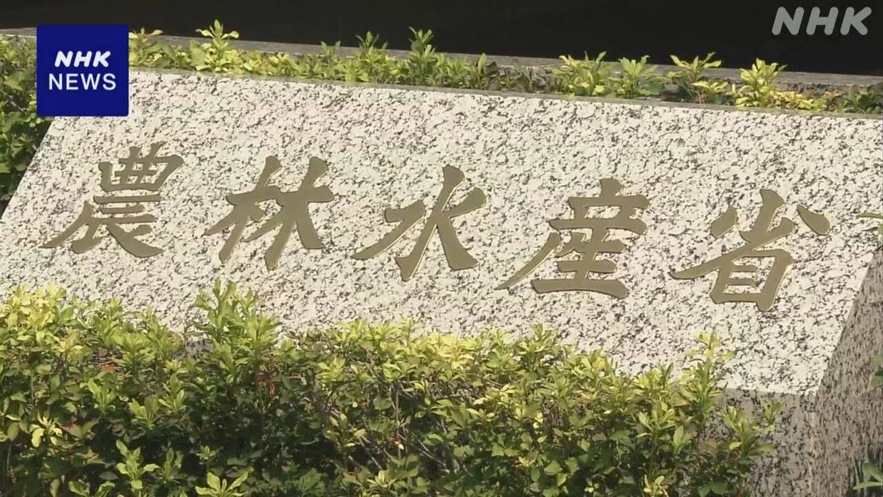 コメ需要見通し“前年以下”で調整 近く示す新案で 農林水産省