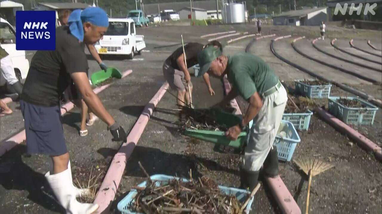 台風7号 千葉県で大きな被害なし 一夜明け各地で片づけ