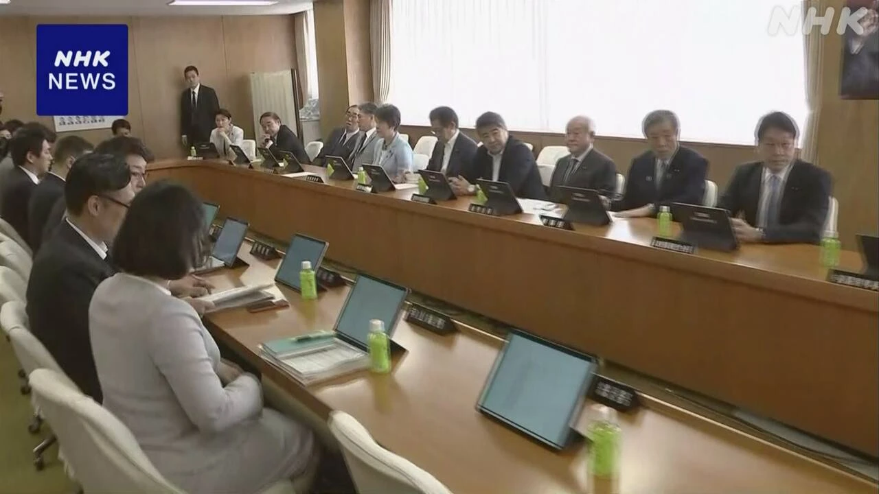 年金制度改革関連法案 自民総務会で了承 今週中にも国会提出へ