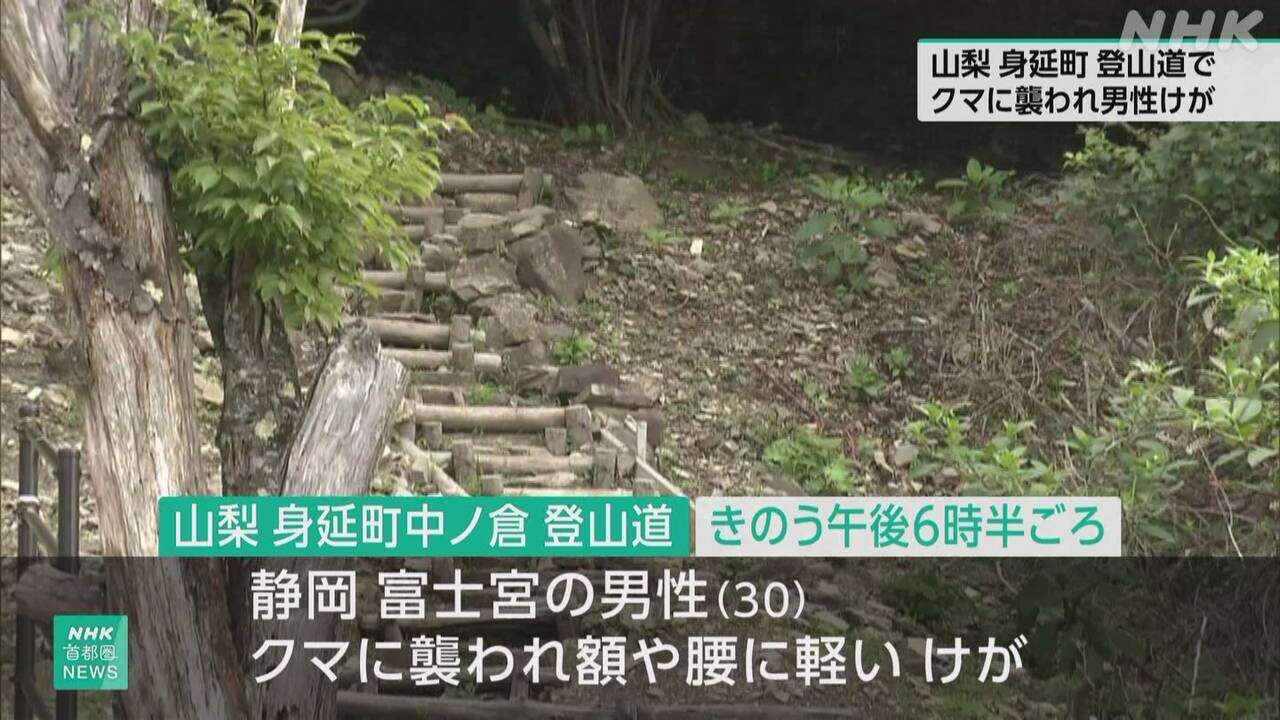 山梨 身延町 登山道で男性がクマに襲われけが