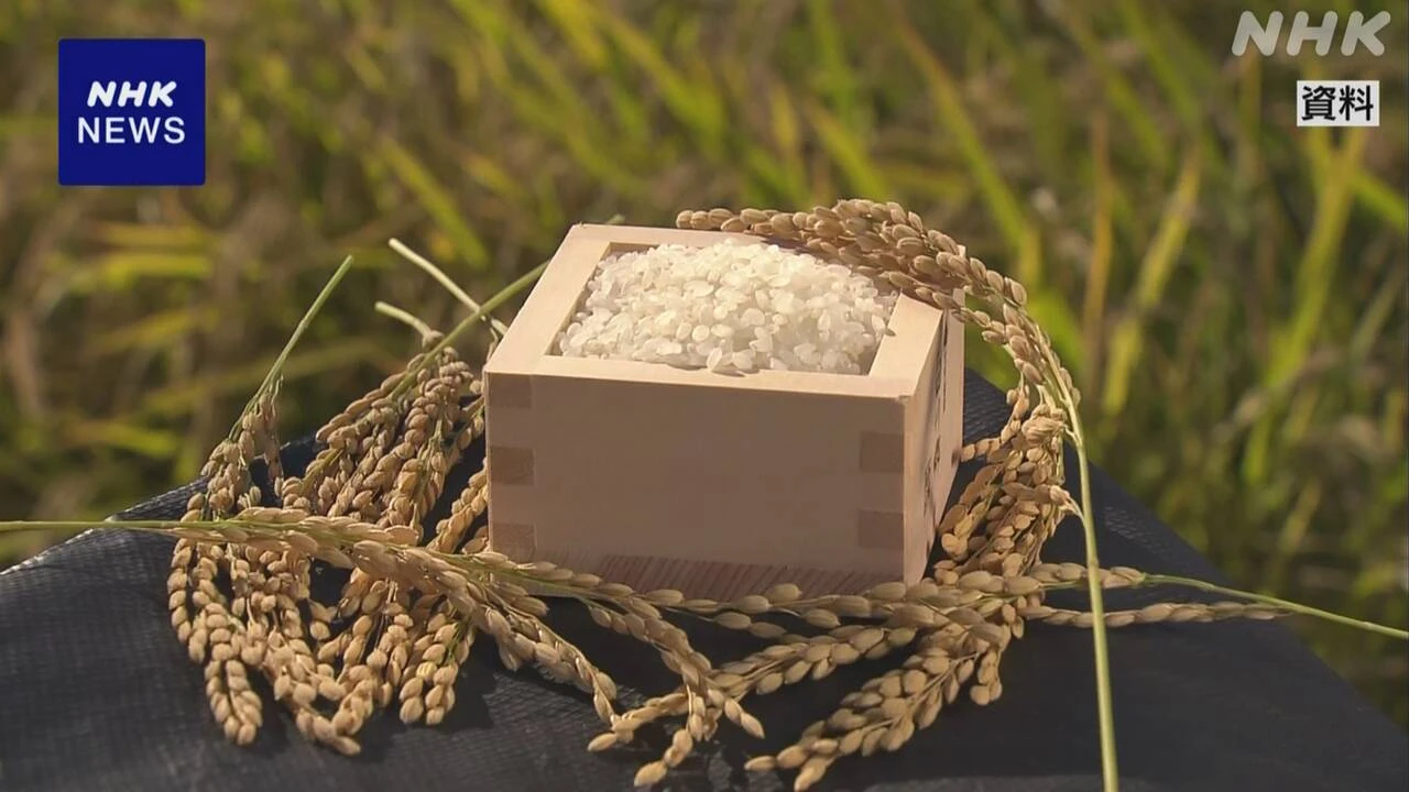 ことし生産される主食用のコメ 去年より56万トン増の見込み