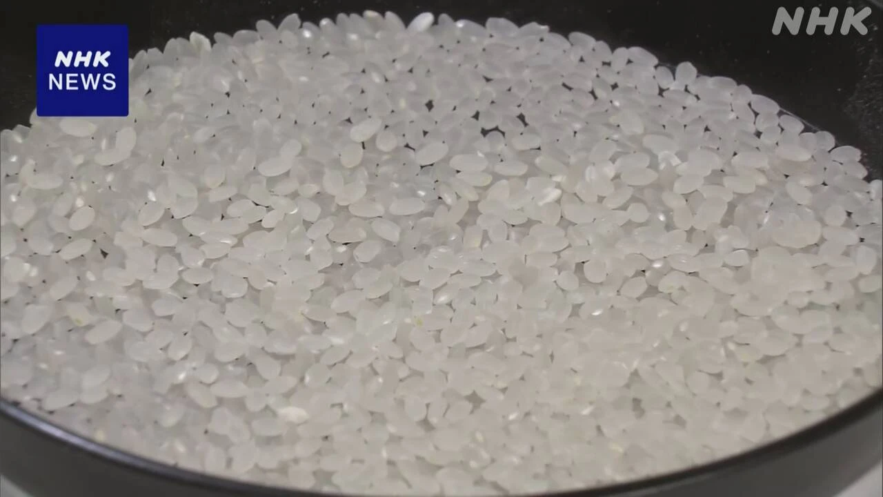 備蓄米 中小のスーパーなど101の申請が確定 流通が焦点
