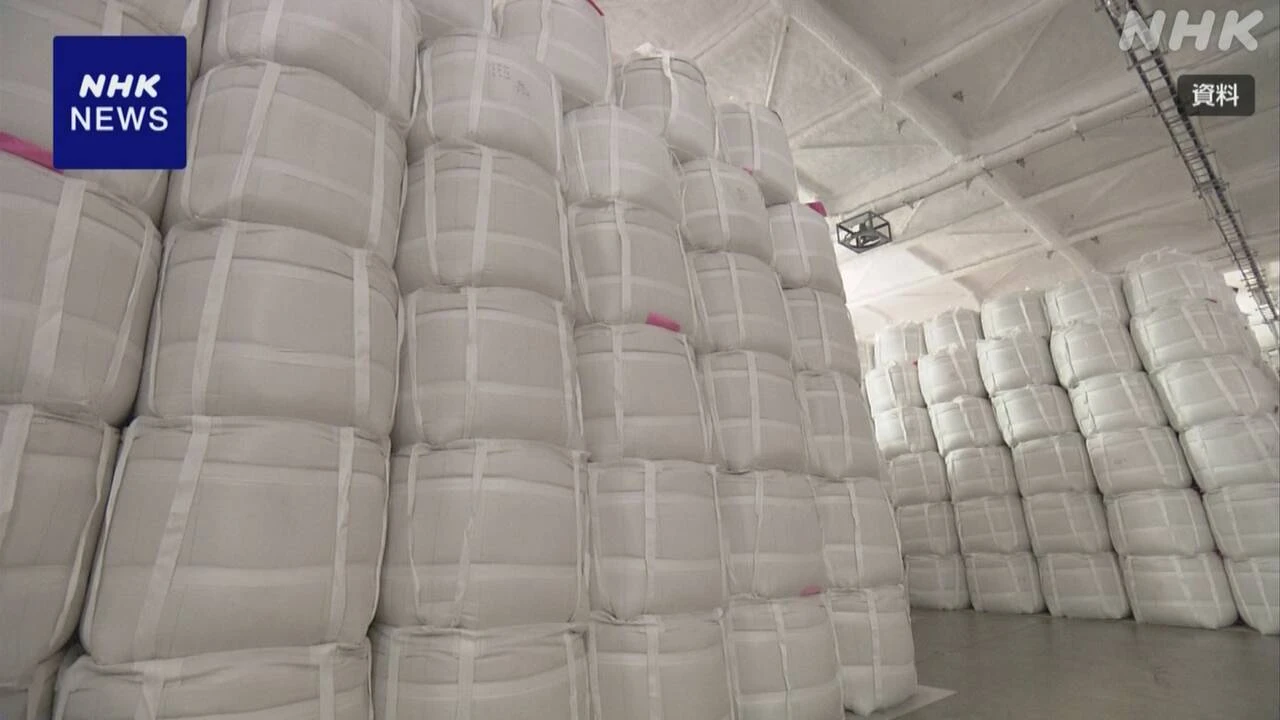 政府の主食用輸入米 例年より3か月早く流通 米価への影響焦点
