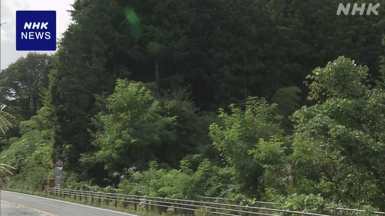 長野 大桑村の山林でクマに襲われ男性けが 伐採作業中