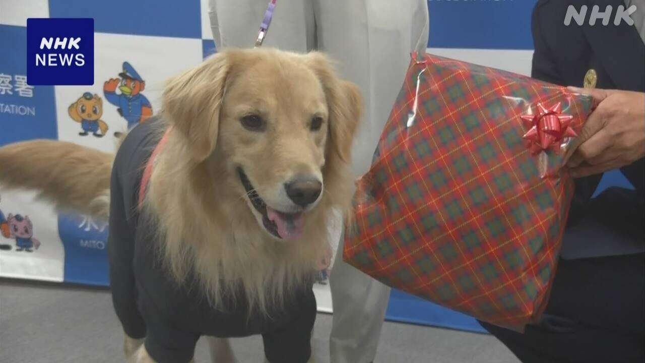 行方不明者を見つけた犬に感謝状 座り込んでいた人に寄り添う