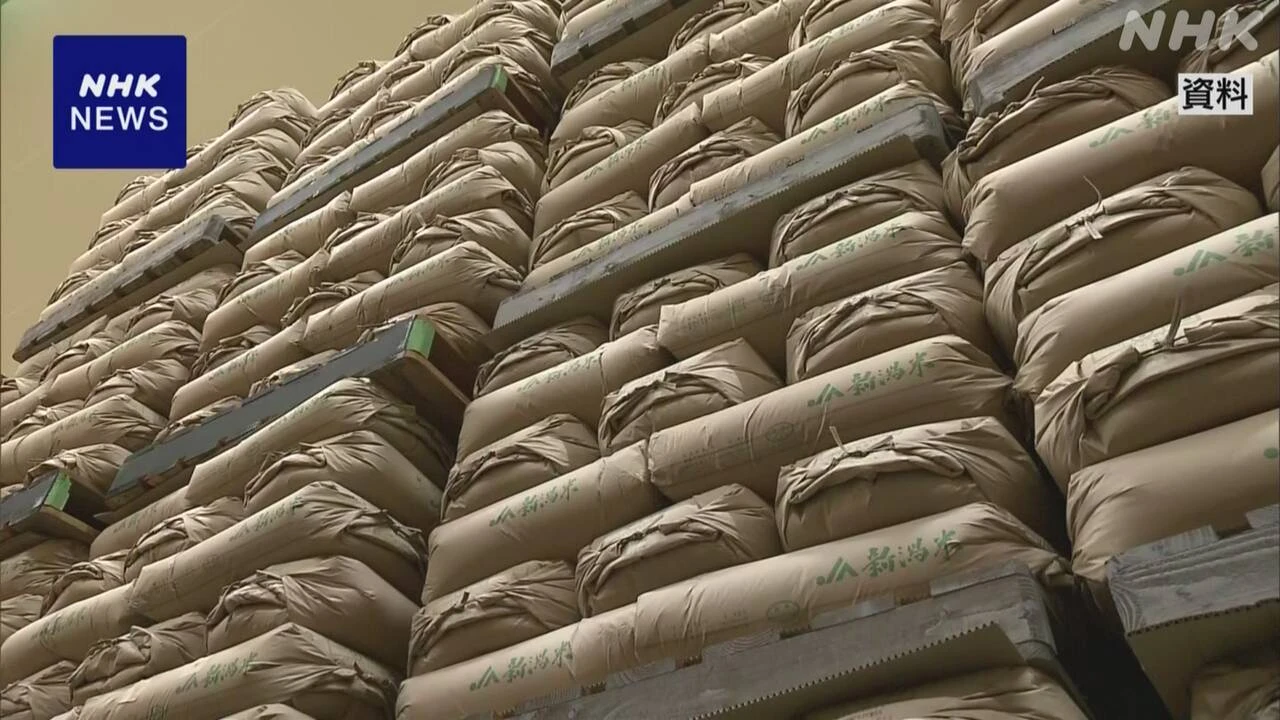 随意契約の備蓄米 令和3年産約12万トン きょう受け付け開始