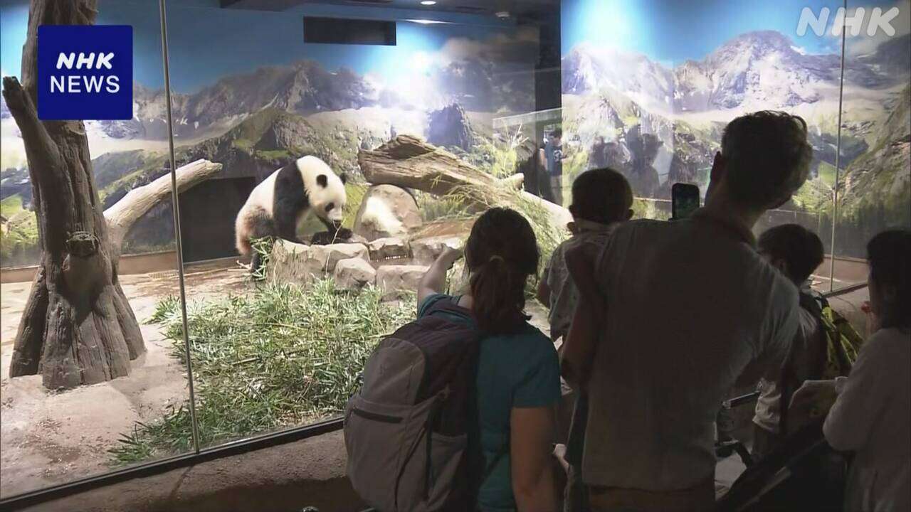 上野動物園 双子のジャイアントパンダ 23日に3歳の誕生日