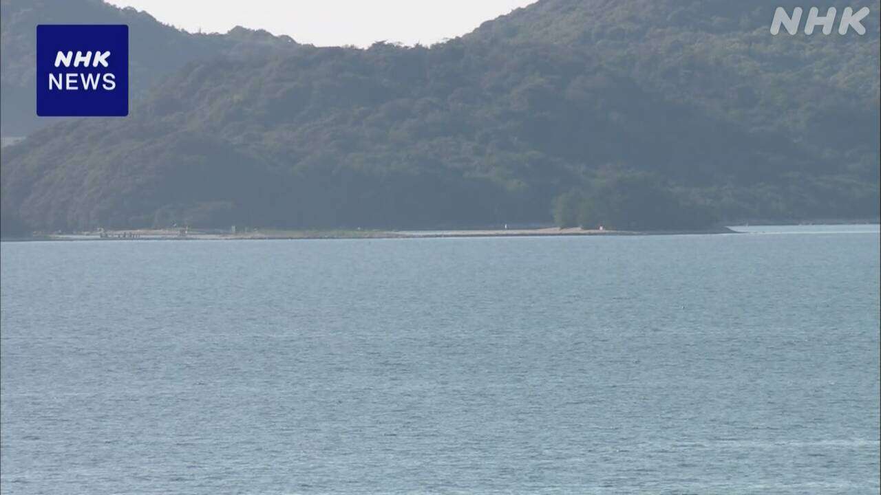 福井の海水浴場 イルカに両手かまれ男性けが 今シーズン18人に