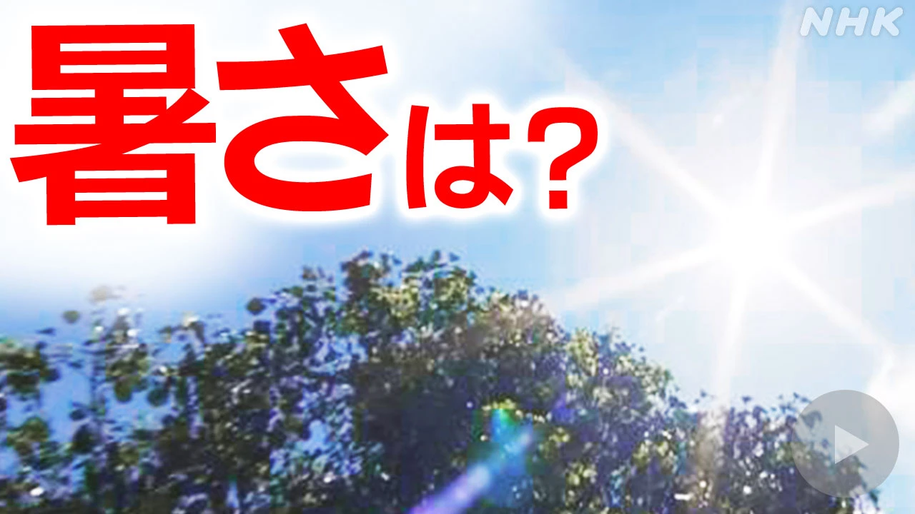来月～9月 天候の見通し “北～西日本 来月は雨の日少ない”