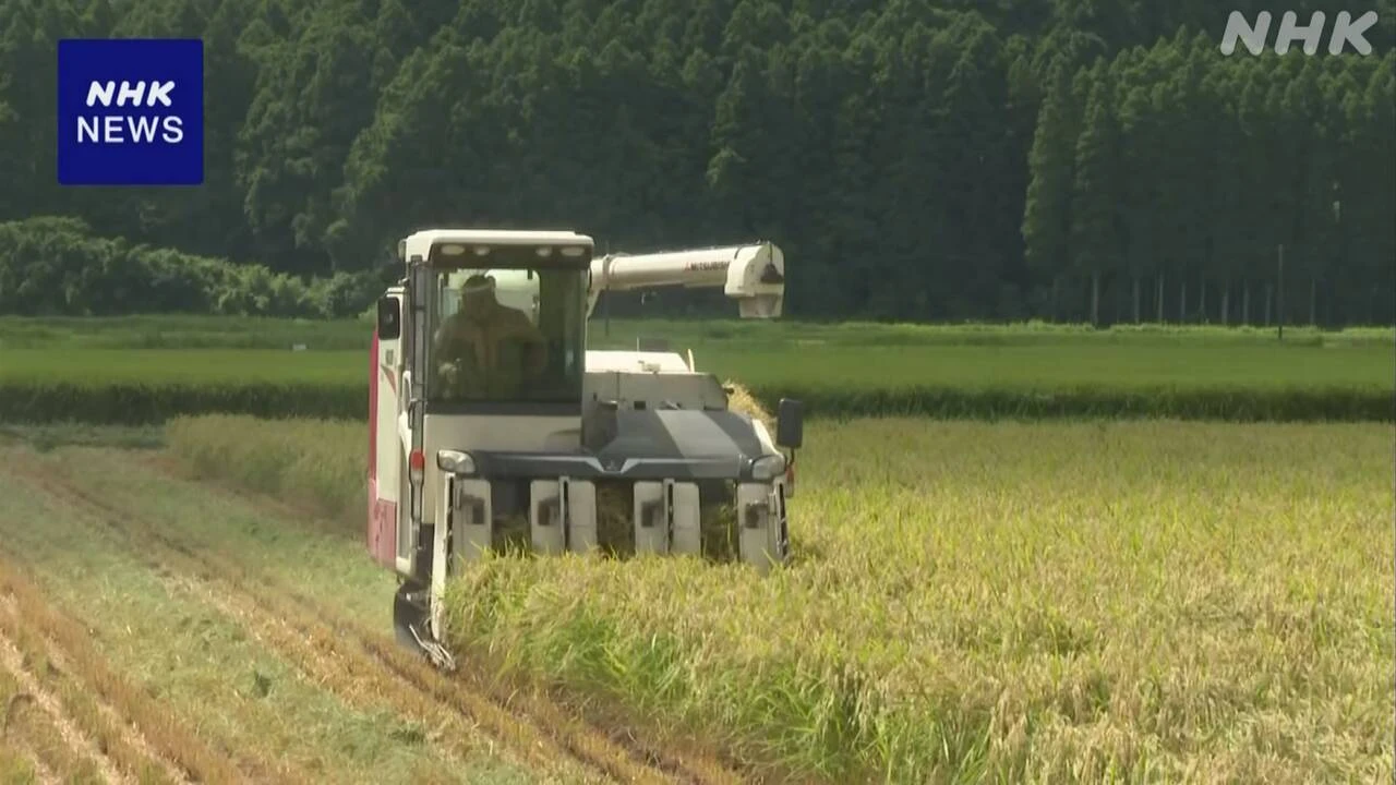 房総半島で早場米の収穫始まる 千葉 いすみ