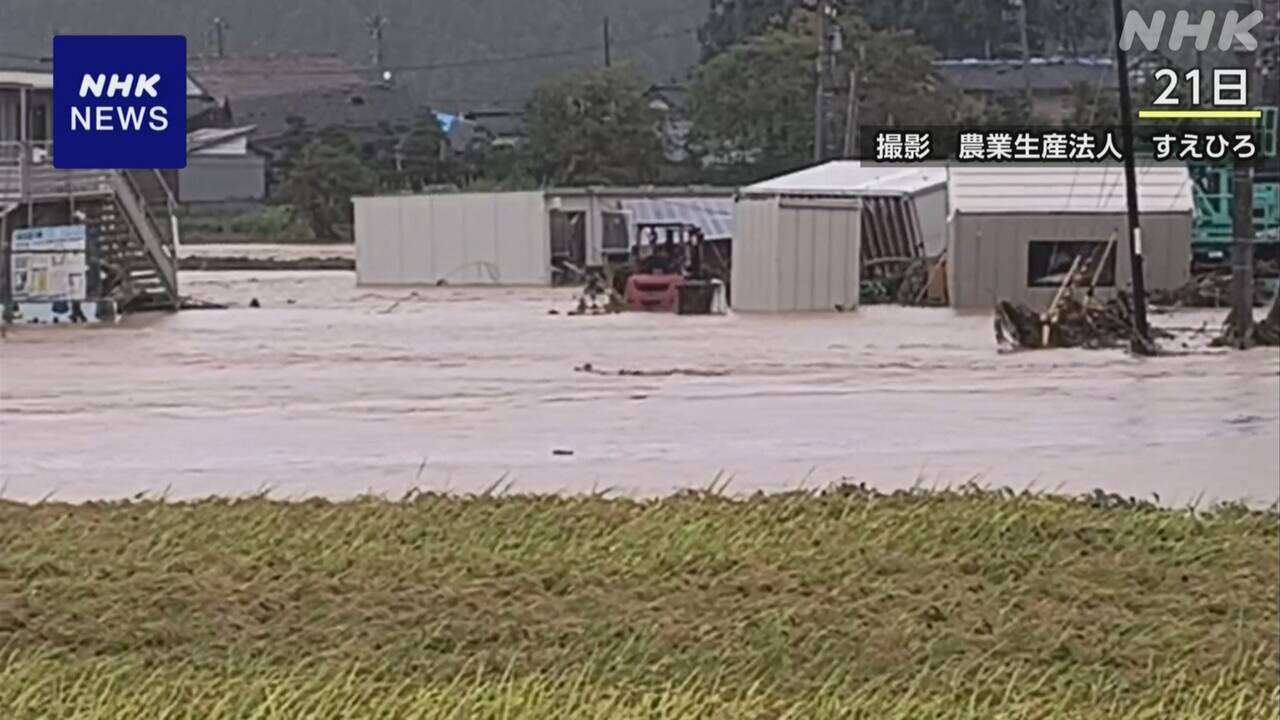 能登大雨 刈り取り前の稲など 農地約150ヘクタールで被害確認