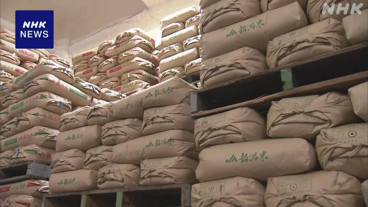 随意契約の備蓄米 売り渡しを外食などに拡大 あす受け付け開始