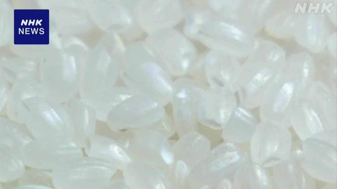 主食用の輸入米の入札 今月中に前倒しへ 農水省