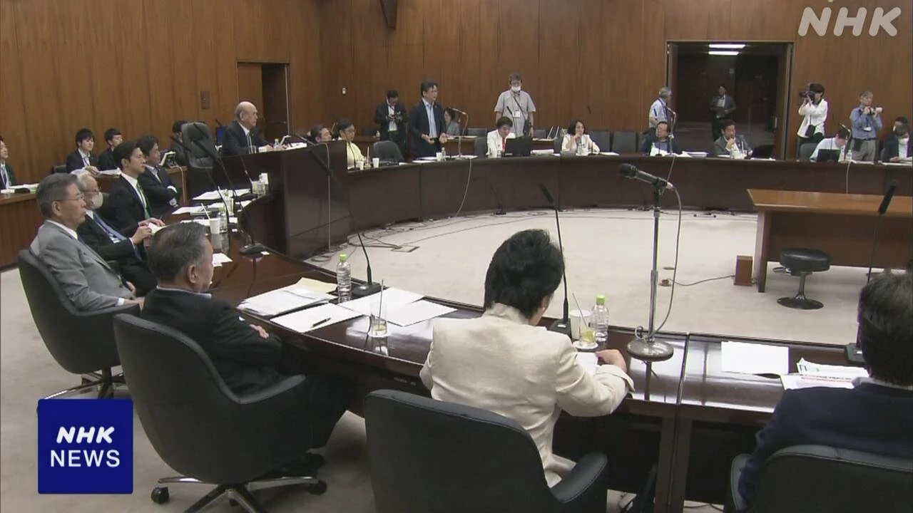 年金改革法案 参院厚生労働委で可決 あす成立の見通し