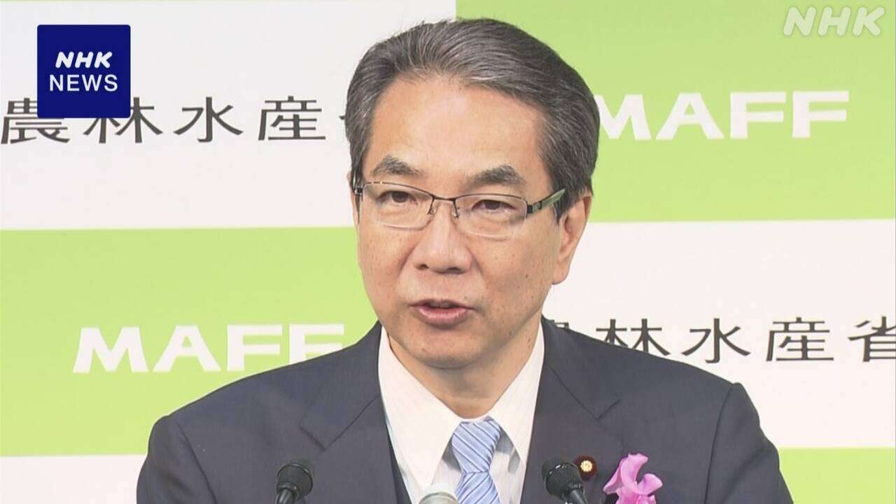 政府の備蓄米放出に向け 来週にも概要を提示へ 江藤農相