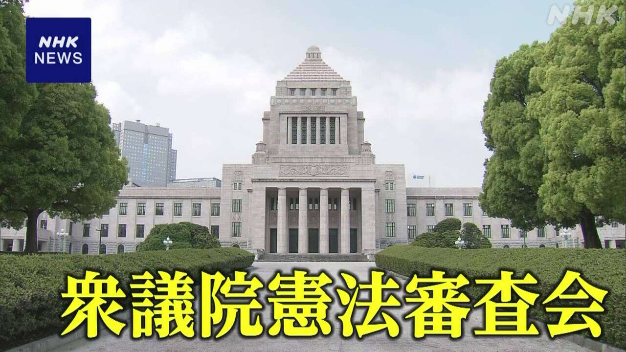 衆院憲法審査会 自民“要綱作成し議論を” 立民“時期尚早”