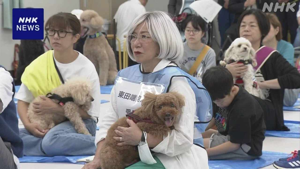 大規模災害に備え ペットと一緒に避難学ぶ講習会 東京 北区