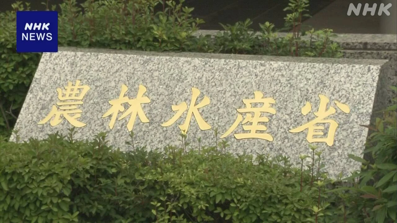 コメ価格高止まり続く 農水省が相次ぎ対策 本格的な値下がりは
