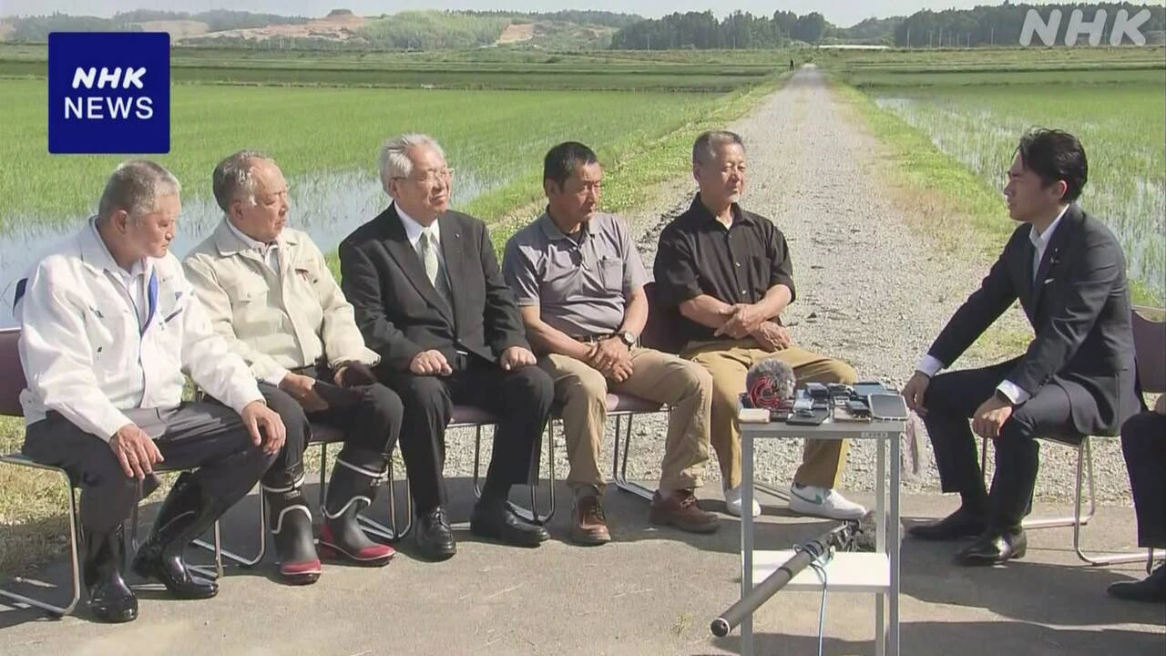 小泉農相 コメの生産者らと意見交換 価格引き下げに理解求める