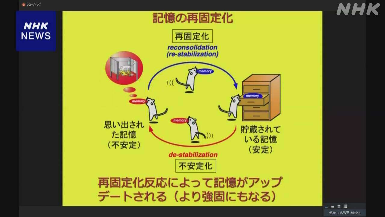 PTSD 記憶に関わる遺伝子が発症に関連か 東大などグループ発表