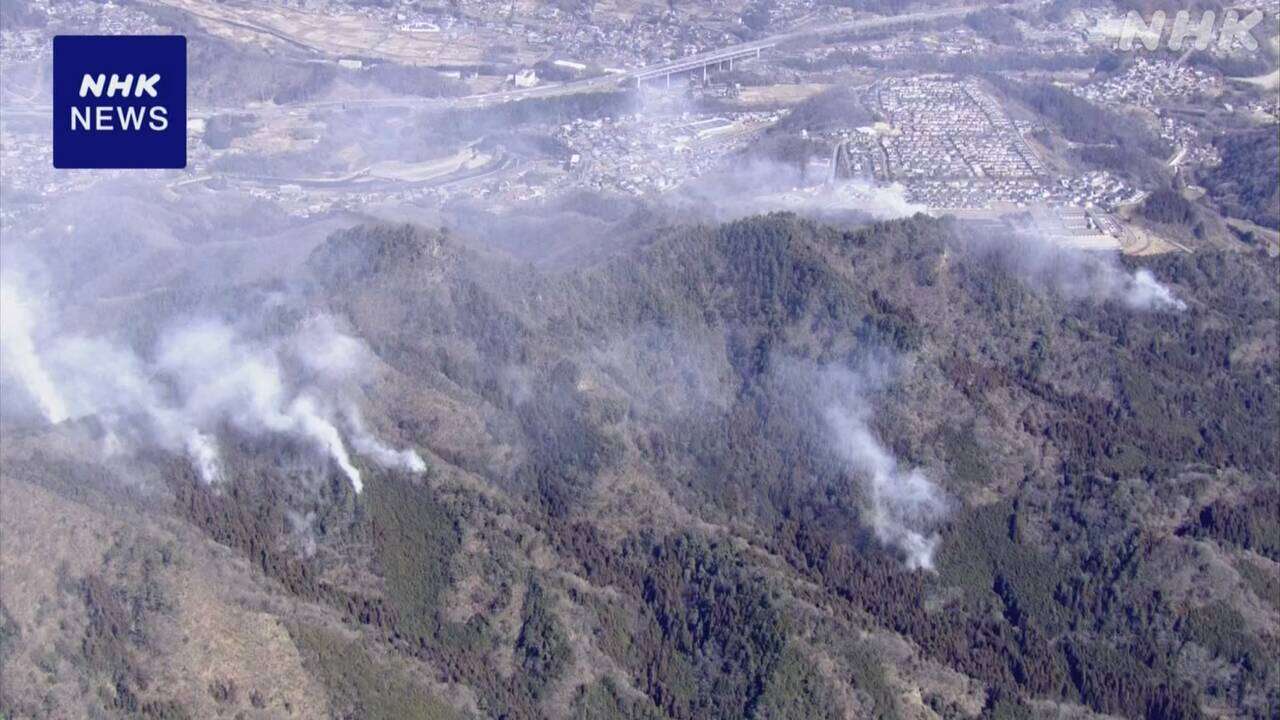 山梨 大月 延焼続く山林火災 ヘリコプターで上空から消火活動