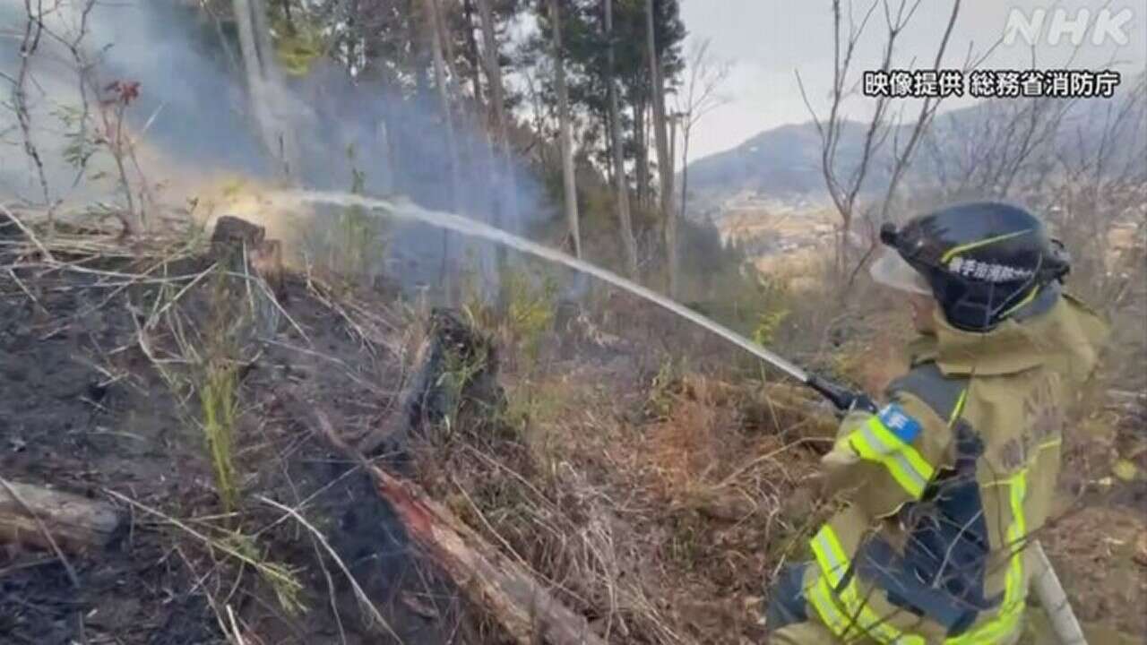 岩手 大船渡の山林火災 消火難航“リアス式の海岸線”など要因