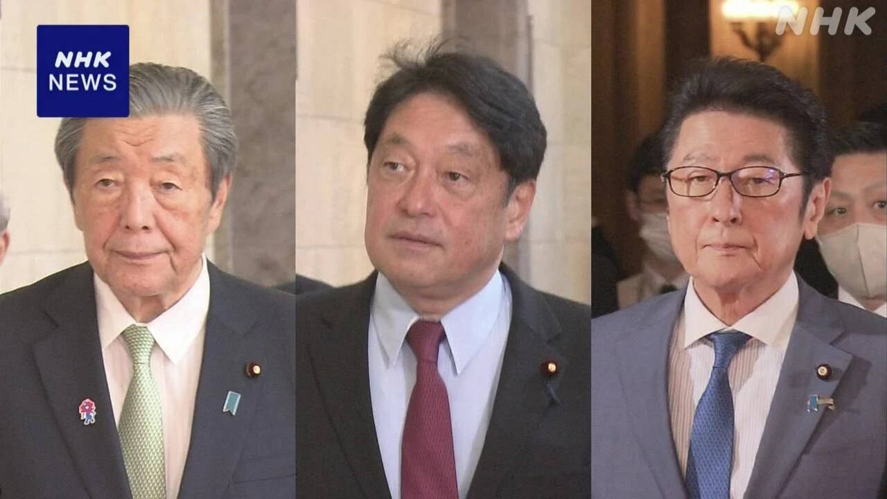 自民幹部ら年金制度改革法案の扱い協議も結論出ず 検討を継続